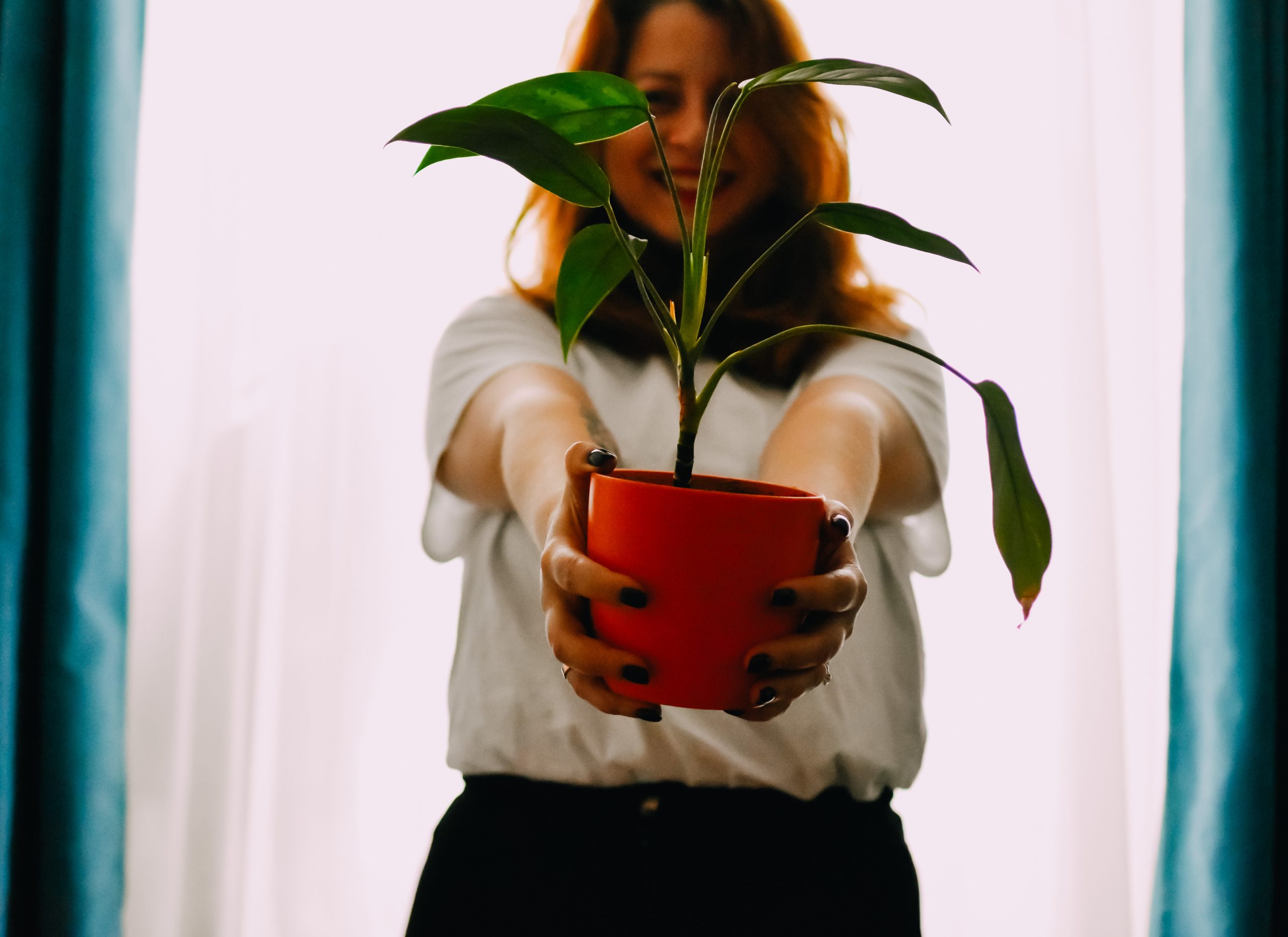 Femme tenant un pot de plante pour promouvoir le bien-être par les plantes