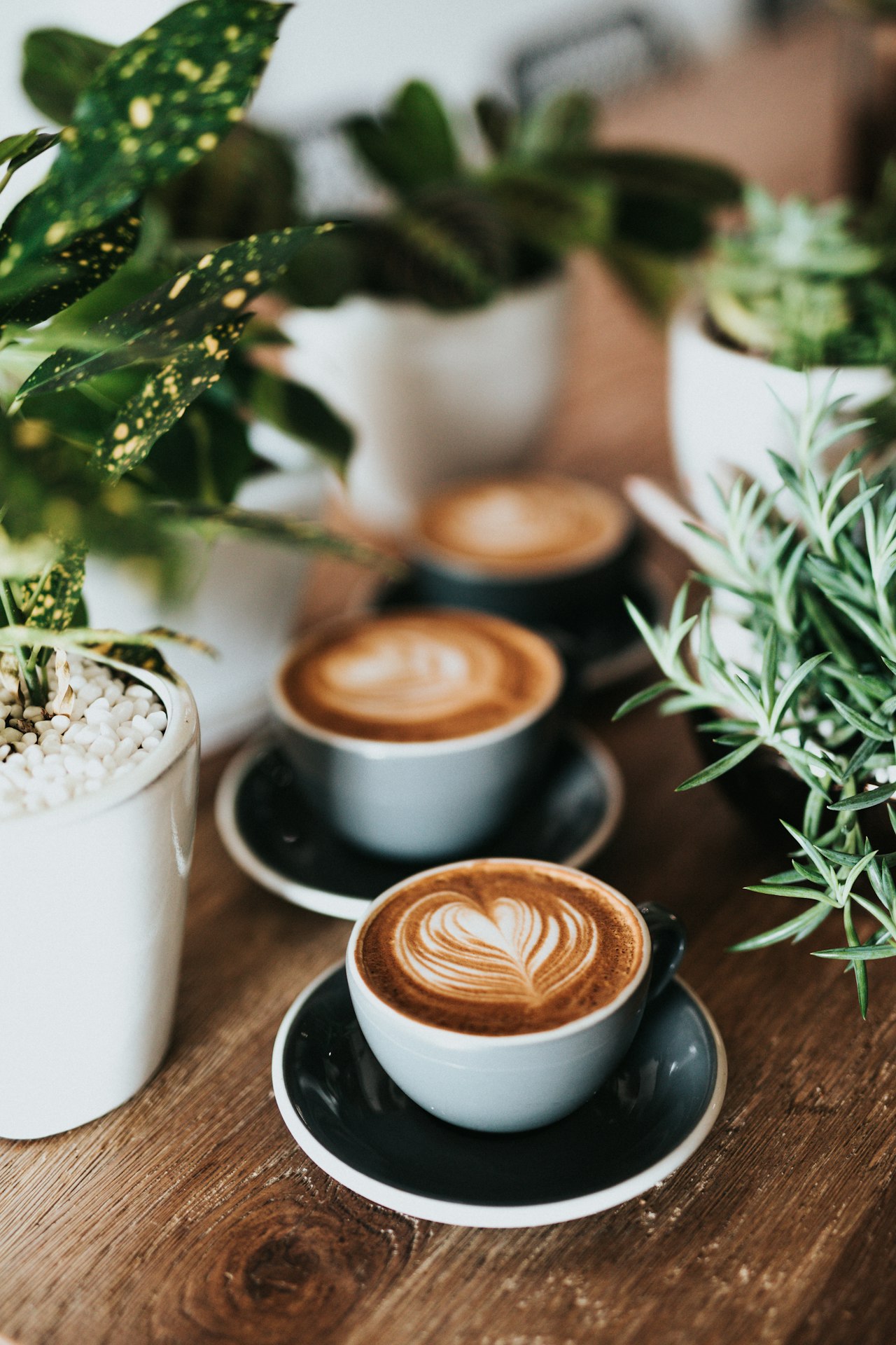Le café déshydrate-t-il vraiment ? Tasses de café et hydratation