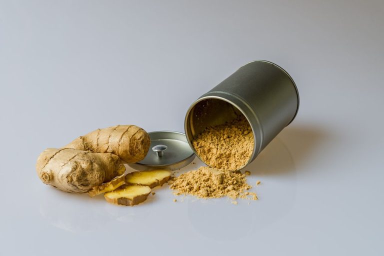 Gingembre frais et poudre de gingembre — bienfaits prouvés pour la santé